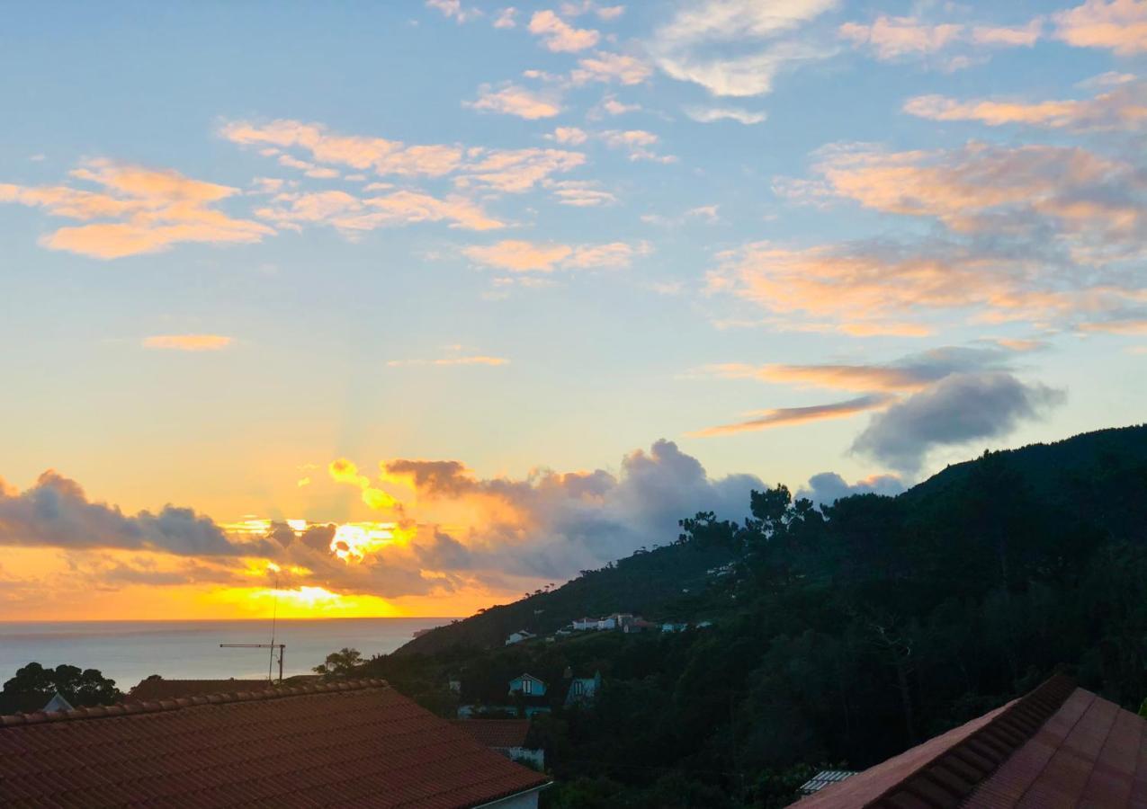 Quinta Pereirinha Farm - Bed & Breakfast - Pico Island, Azores - Private 3 Bedroom Home On A Working Farm W Ocean Views São Roque do Pico Buitenkant foto