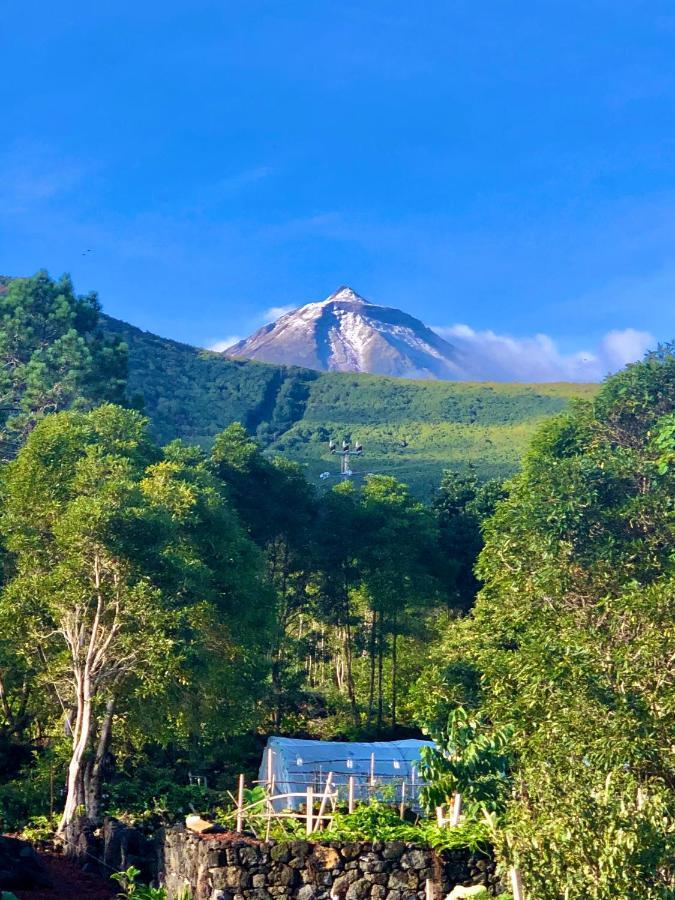 Quinta Pereirinha Farm - Bed & Breakfast - Pico Island, Azores - Private 3 Bedroom Home On A Working Farm W Ocean Views São Roque do Pico Buitenkant foto