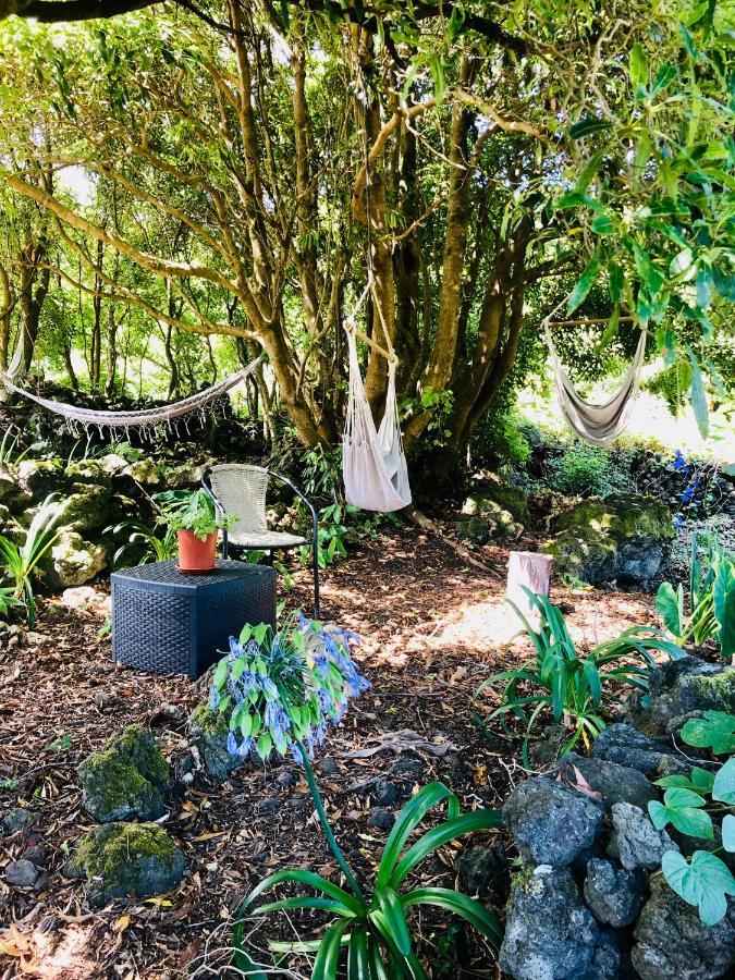 Quinta Pereirinha Farm - Bed & Breakfast - Pico Island, Azores - Private 3 Bedroom Home On A Working Farm W Ocean Views São Roque do Pico Buitenkant foto