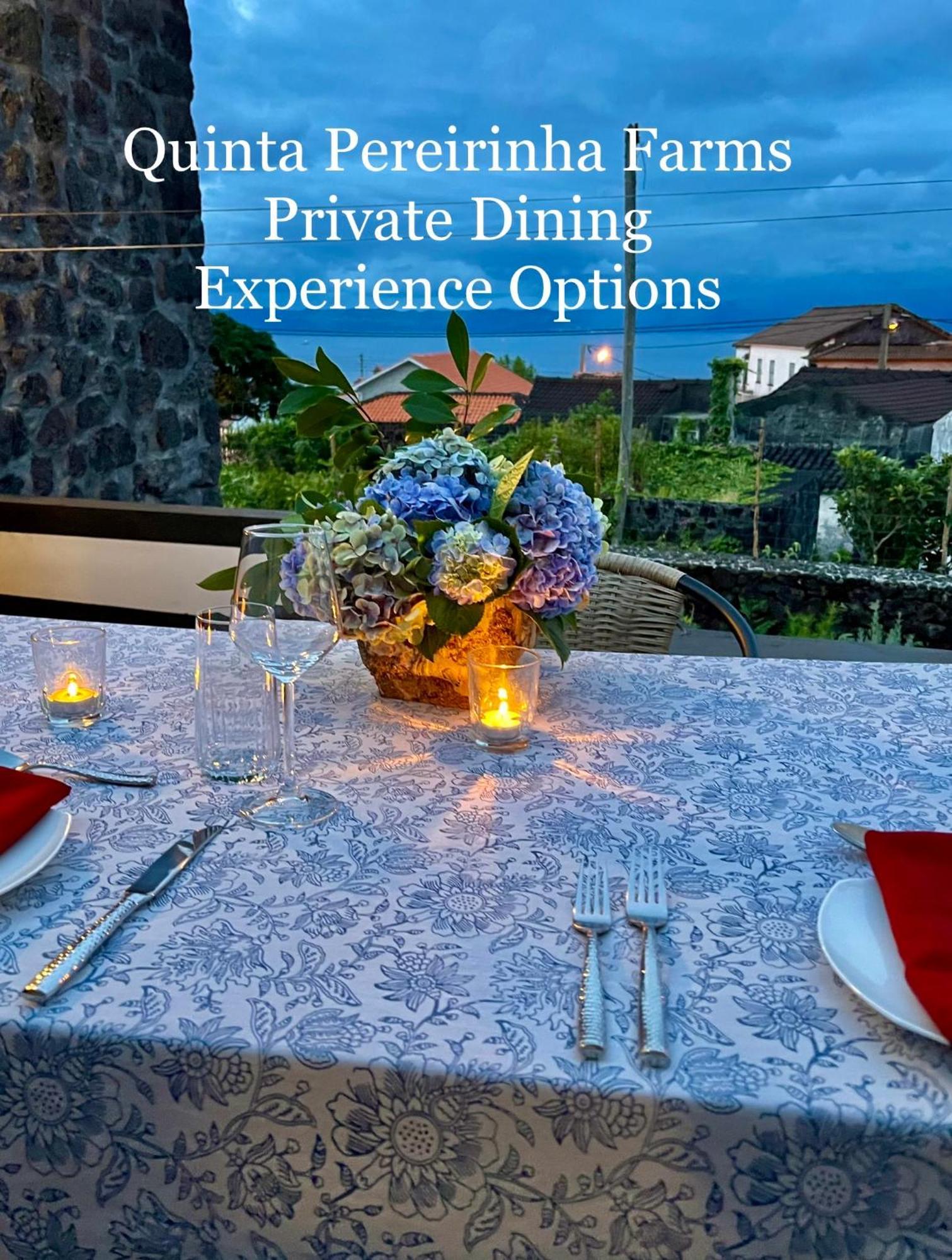 Quinta Pereirinha Farm - A Private 3 Bedroom Vacation Home, Close To Hiking W Ocean Views - Pico Island, Azores São Roque do Pico Buitenkant foto